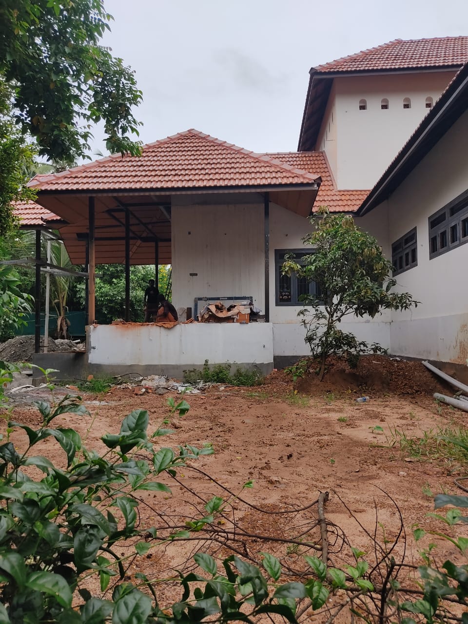 Image 12